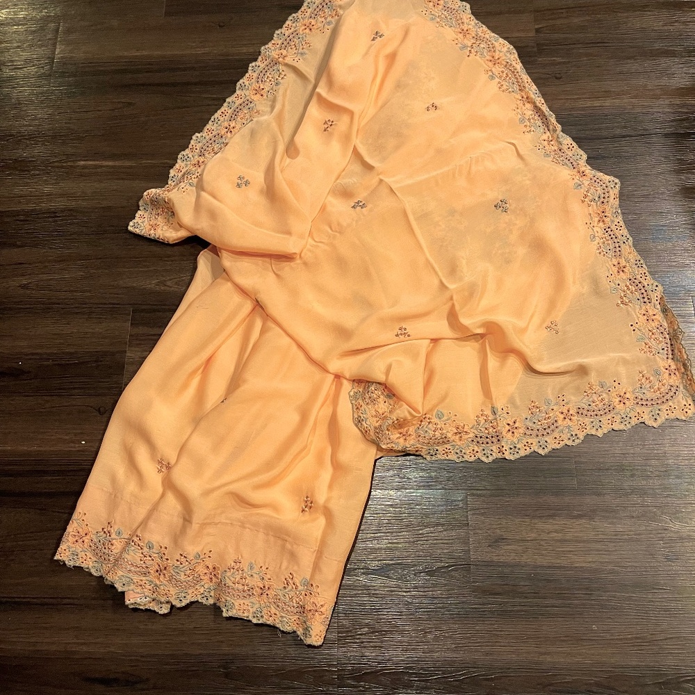 Chiffon saree with embroidered/cutwork border